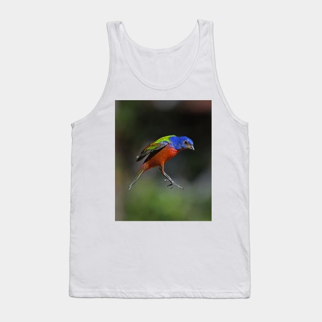 Painted Bunting Bird in Suspension Tank Top by candiscamera